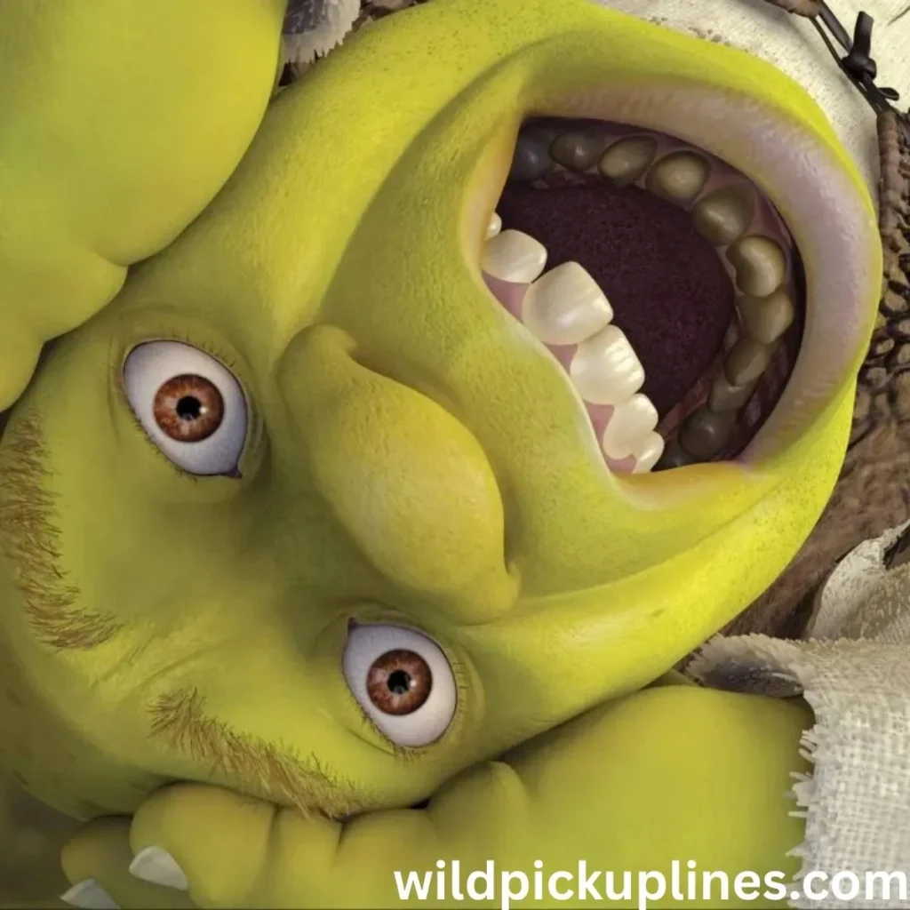 Shrek Pick Up Lines Dirty