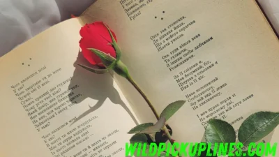 Poetic Pick Up Lines