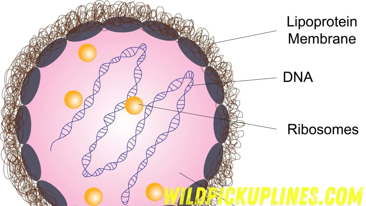 Ribosome Pick Up Lines